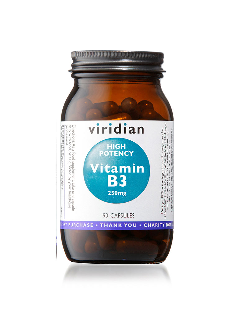 Hi-Potency Vitamin B3 90 Caps
